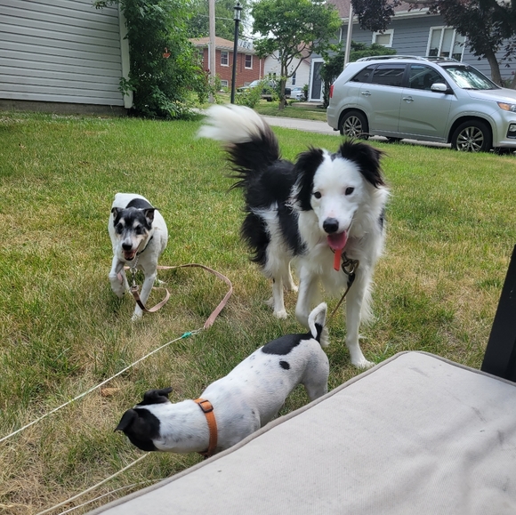 Meet your Posher, Valerie - Picture 3 of 3